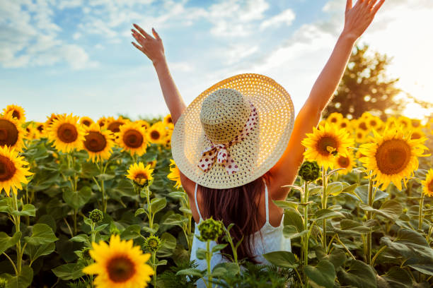Happy young woman walking in blooming sunflower field raising hands and having fun. Summer vacation.